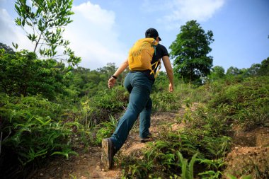 Yaz ormanı dağlarında gezen bir kadın.