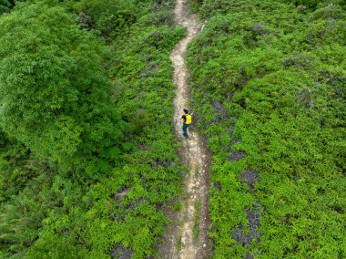 Tropikal orman patikasındaki yürüyüşçü kadınların hava manzarası.