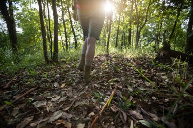 Orman iz hiking kadın uzun yürüyüşe çıkan kimse