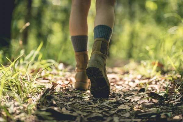Woman Hiker Hiking Forest Trail — Stock Photo, Image