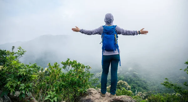 Successful Hiker Feel Free Spring Mountain Top — Foto Stock