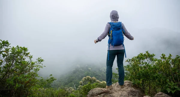 成功的徒步旅行者欣赏山顶悬崖边的景色 — 图库照片