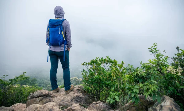 Exitoso Excursionista Disfrutar Vista Cima Montaña Borde Del Acantilado —  Fotos de Stock