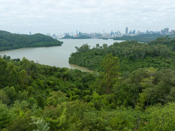 Prachtig Landschap Het Bos Aan Het Meer — Stockfoto