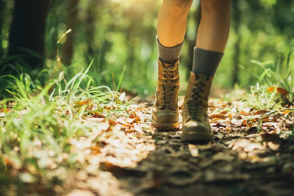 Woman Hiker Hiking Forest Trail — Stock Photo, Image