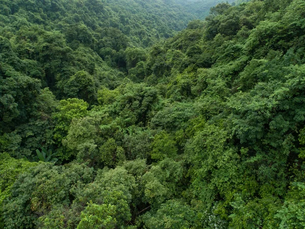 Flygfoto Över Vacker Skog Bergslandskap — Stockfoto