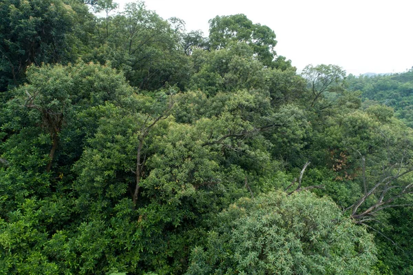 Vista Aérea Bela Paisagem Montanha Floresta — Fotografia de Stock