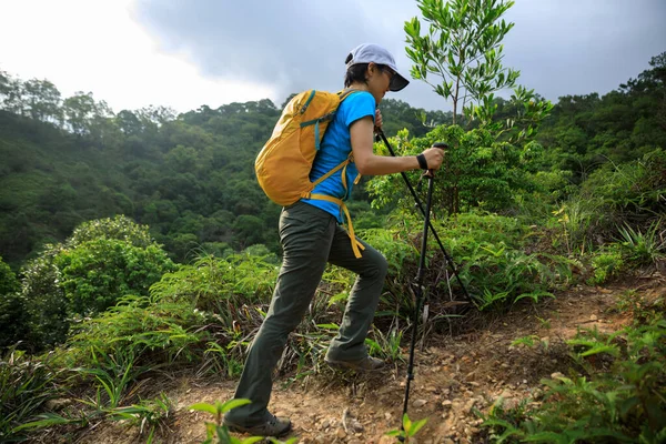 Woman backpacker hiking in summer forest mountain