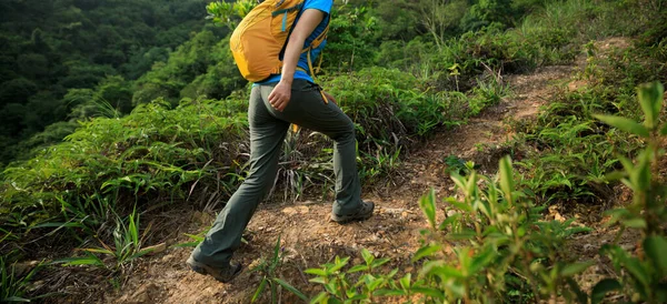 Woman backpacker hiking in summer forest mountain