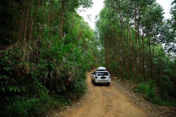 Conducir Fuera Carretera Las Montañas Del Bosque Tropical — Foto de Stock