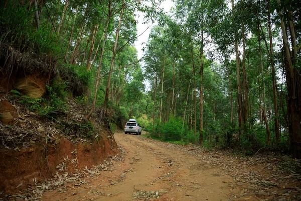 Driving Road Car Tropical Forest Mountains — Stock Photo, Image