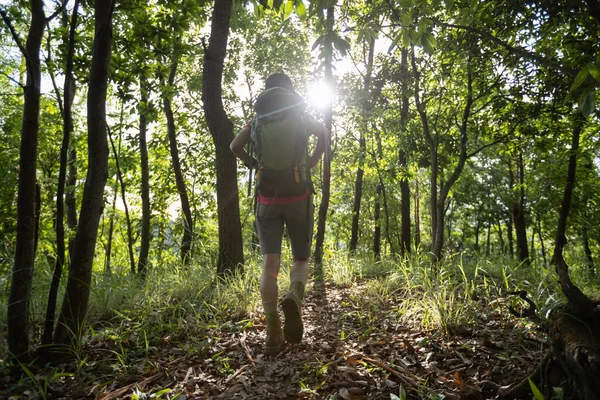 女人名徒步旅行者在森林步道上徒步旅行 — 图库照片