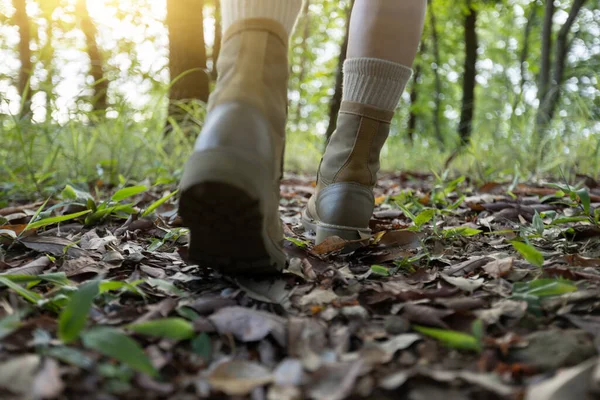 Woman Hiker Hiking Forest Trail — Stock Photo, Image