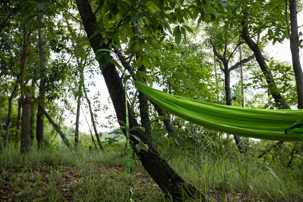 Árbol Amigable Hamaca Colgando Bosque Tropical — Foto de Stock