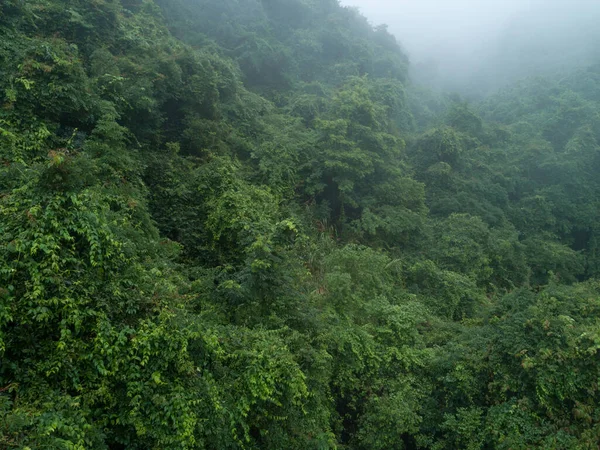 Vista Aérea Bela Paisagem Montanha Floresta — Fotografia de Stock