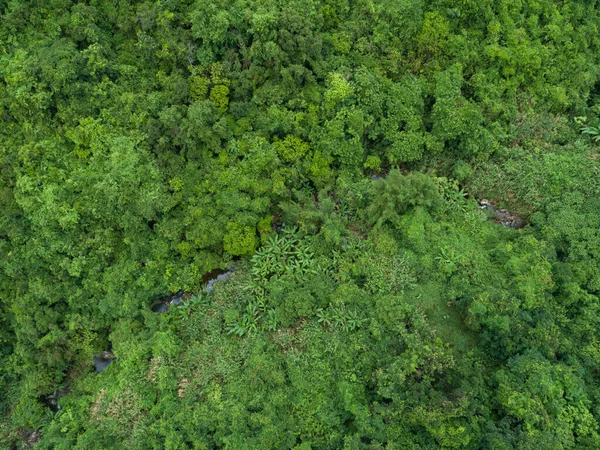 Vista Aérea Bela Paisagem Montanha Floresta — Fotografia de Stock