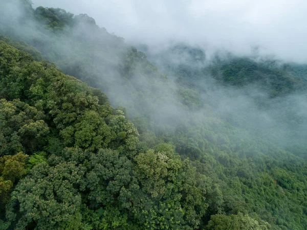 Vista Aérea Bela Paisagem Montanha Floresta — Fotografia de Stock