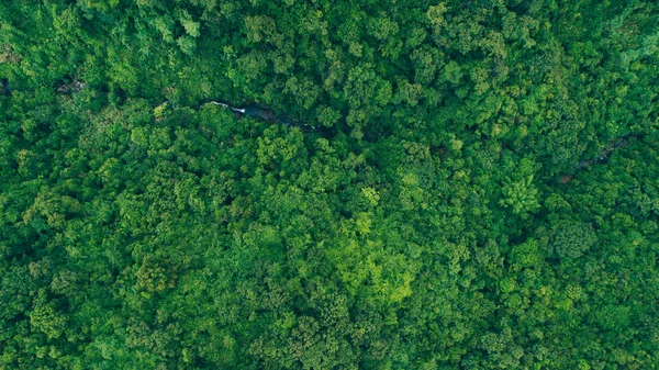 Вид Воздуха Красивый Лесной Горный Ландшафт — стоковое фото