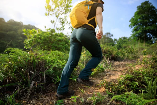 Kvinna Backpacker Vandring Sommar Skog Berg — Stockfoto