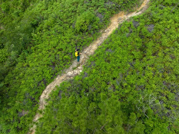 Aerial view of woman hiker hiking on tropical forest trail