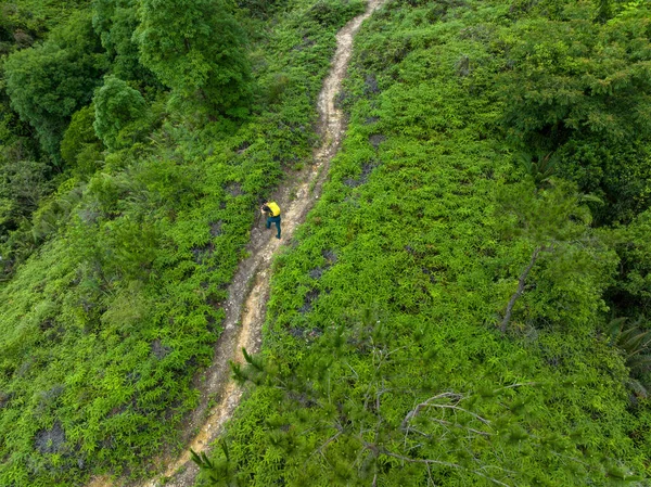 Aerial view of woman hiker hiking on tropical forest trail