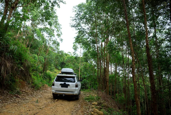 热带森林山脉的公路小车 — 图库照片