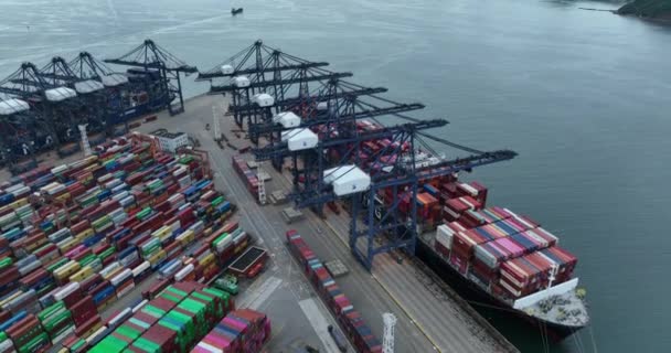 Flygfoto Över Yantian Containerterminal Shenzhen Stad Kina — Stockvideo