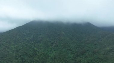 Sisli yeşil bahar ormanının insansız hava görüntüsü