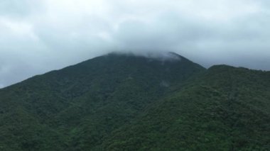 Sisli yeşil bahar ormanının insansız hava görüntüsü