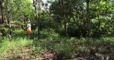 footage of young woman running in the forest