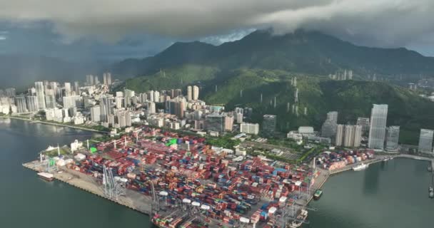 Widok Lotu Ptaka Terminal Kontenerowy Shenzhen Chiny — Wideo stockowe