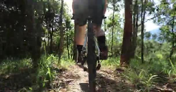 Footage Young Woman Riding Bike Green Forest — Stockvideo