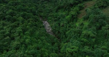 Güzel orman dağ manzarasının havadan görünüşü