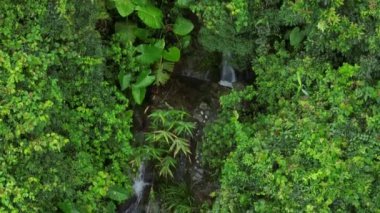 Güzel orman dağ manzarasının havadan görünüşü