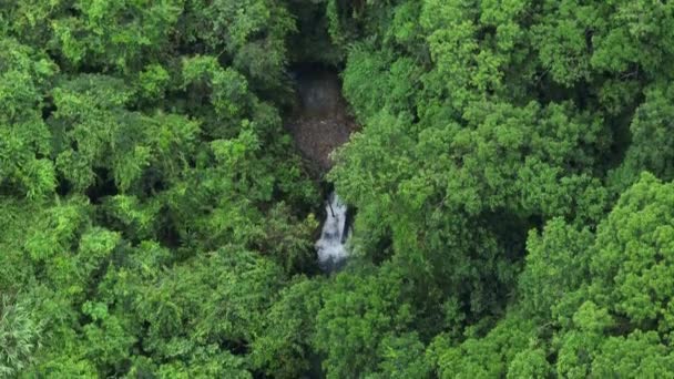 Luftaufnahme Der Schönen Wald Berglandschaft — Stockvideo