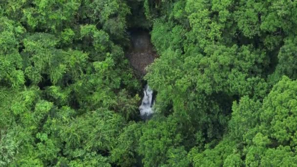 Flygfoto Över Vacker Skog Bergslandskap — Stockvideo