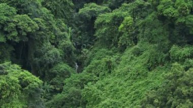 Güzel orman dağ manzarasının havadan görünüşü