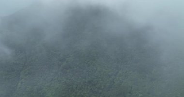 Sisli bir günde güzel dağ manzarası.