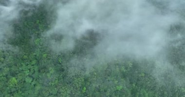 Sisli bir günde güzel dağ manzarası.