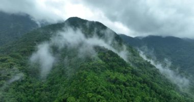 Sisli bir günde güzel dağ manzarası.