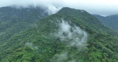Sisli bir günde güzel dağ manzarası.