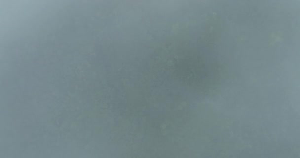 Вид Воздуха Тропический Лес Туманный День — стоковое видео