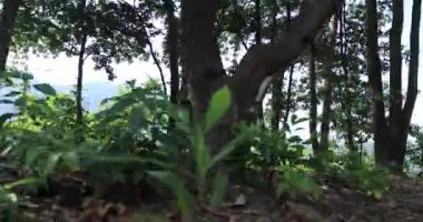 woman running through green forest