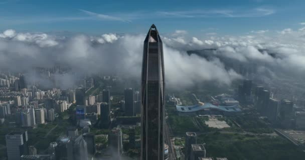 Shenzhen Şehrindeki Hava Manzarası Çin — Stok video