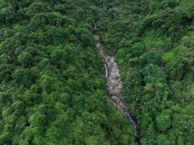 Aerial view of beautiful tropical forest mountain landscape