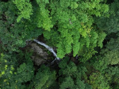 Aerial view of beautiful tropical forest mountain landscape