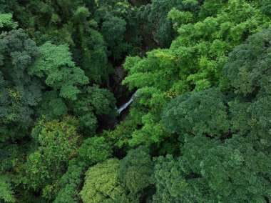 Aerial view of beautiful tropical forest mountain landscape