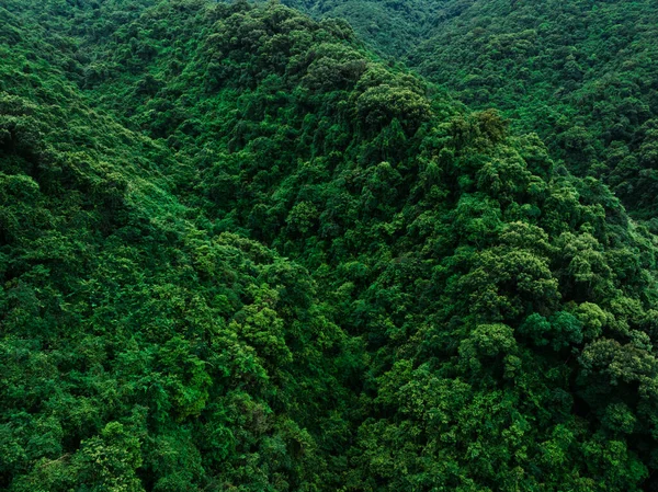 Вид Воздуха Красивый Лесной Горный Ландшафт — стоковое фото