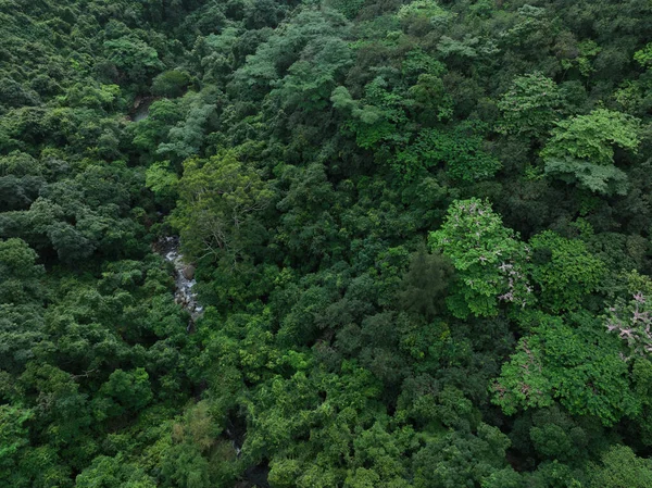 Aerial view of beautiful tropical forest mountain landscape