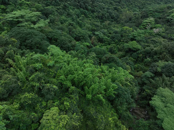 Aerial View Beautiful Tropical Forest Mountain Landscape — Foto Stock
